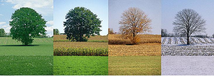 Steam平台冬促开启，《骑马与砍杀2：霸主》折扣平史低